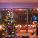 Our First Christmas Tree 2006